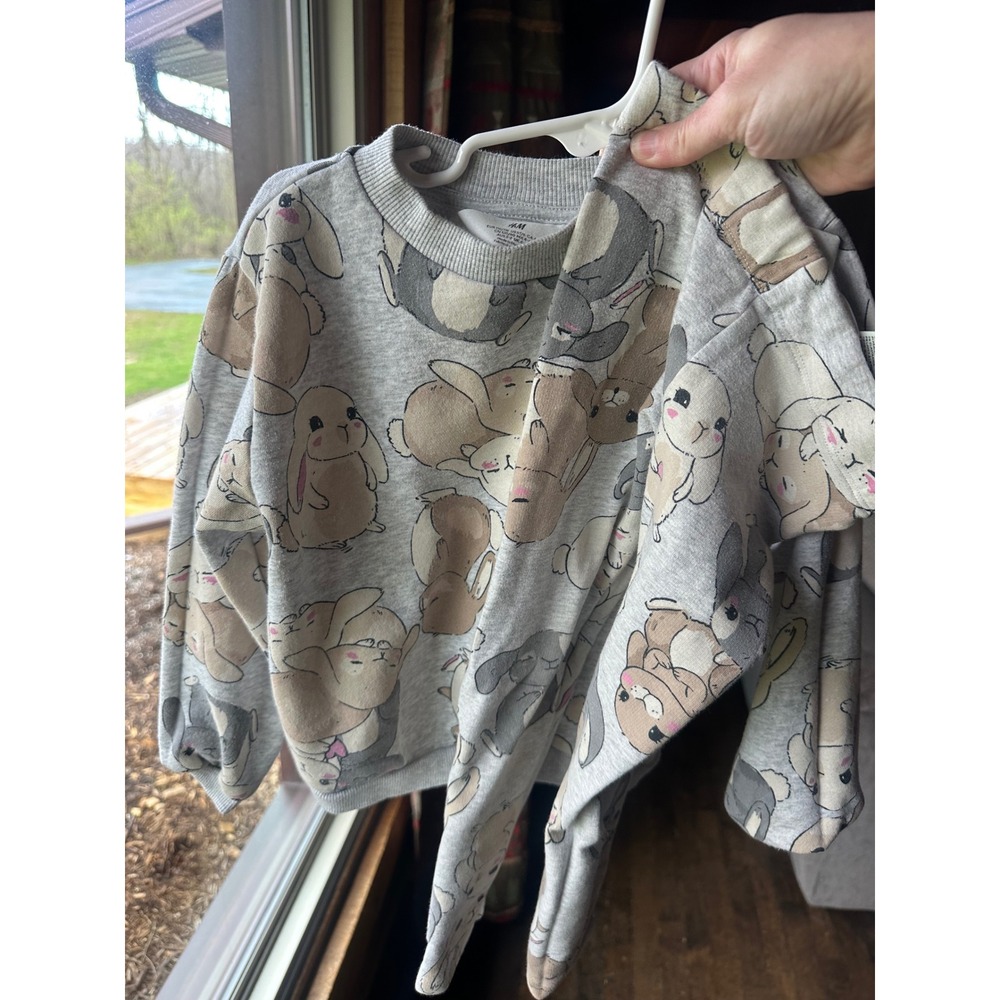 H&M HTF Kids Gray Jogger SetSring Bunnie Print Includes Pants & Sweatshirt 4-6Y